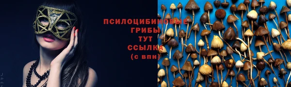 ALPHA PVP Майский