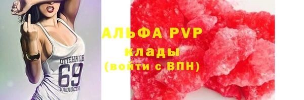 трава Магас