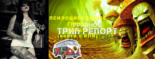 мескалин Верея