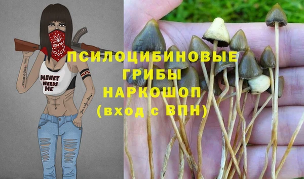прущие крисы Верхний Тагил