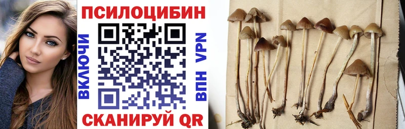 Галлюциногенные грибы ЛСД  где купить наркоту  Сочи 